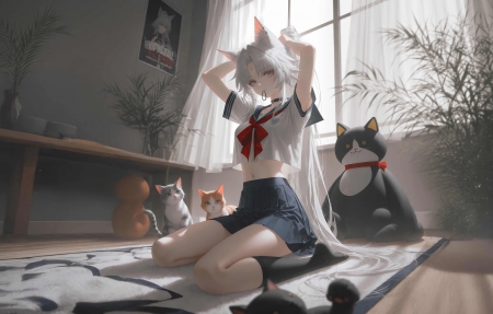 原创动漫作品投稿与展示